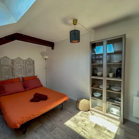 公寓 Bord De Loire - *